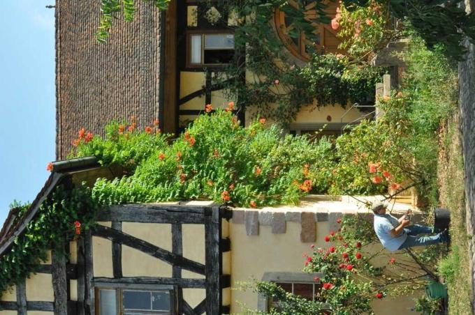 Gaestezimmer - Fuhrhalterei Maul Breuberg Exterior foto