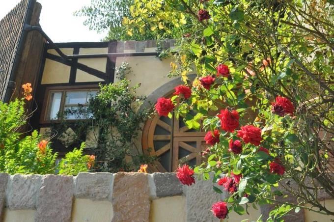 Gaestezimmer - Fuhrhalterei Maul Breuberg Exterior foto